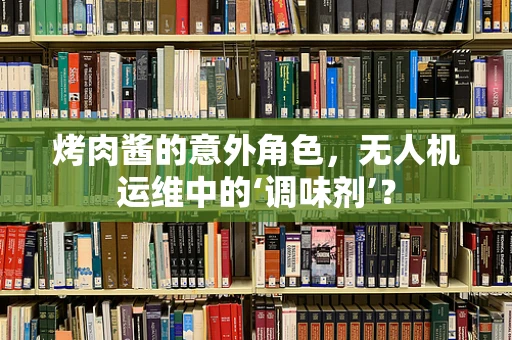 烤肉酱的意外角色，无人机运维中的‘调味剂’？