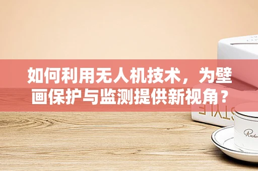 如何利用无人机技术，为壁画保护与监测提供新视角？