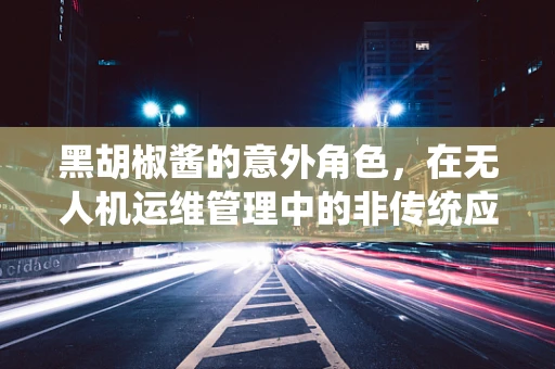 黑胡椒酱的意外角色，在无人机运维管理中的非传统应用？
