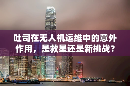 吐司在无人机运维中的意外作用，是救星还是新挑战？
