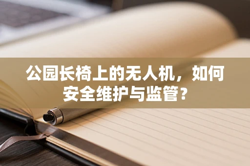 公园长椅上的无人机，如何安全维护与监管？