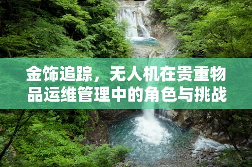 金饰追踪，无人机在贵重物品运维管理中的角色与挑战