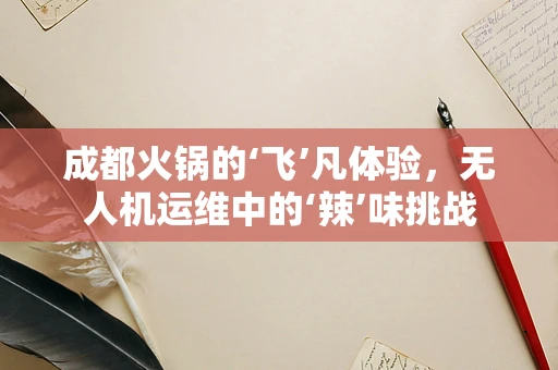 成都火锅的‘飞’凡体验，无人机运维中的‘辣’味挑战