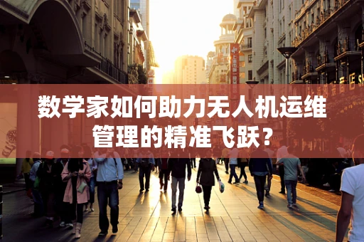 数学家如何助力无人机运维管理的精准飞跃？