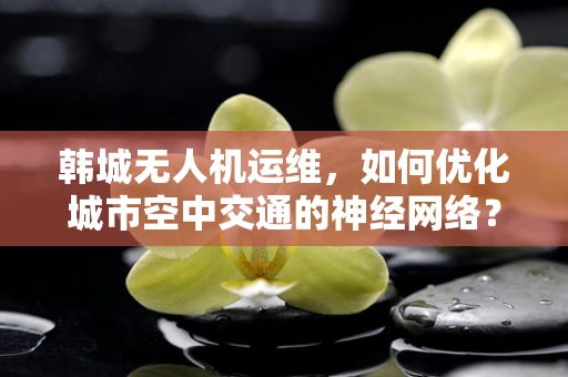 韩城无人机运维，如何优化城市空中交通的神经网络？