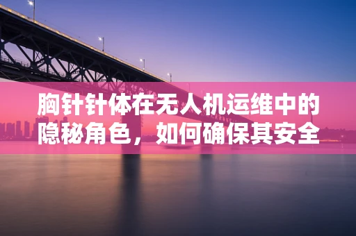 胸针针体在无人机运维中的隐秘角色，如何确保其安全与高效？