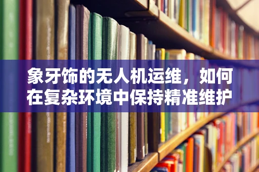 象牙饰的无人机运维，如何在复杂环境中保持精准维护？