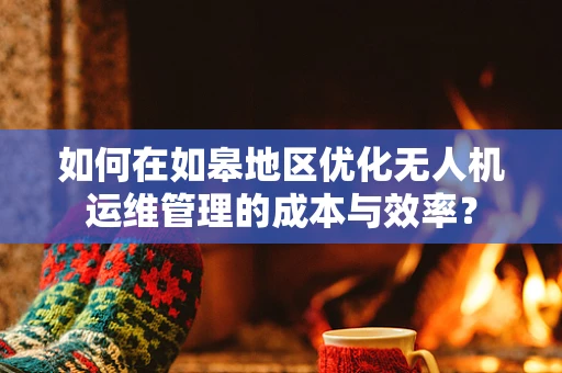 如何在如皋地区优化无人机运维管理的成本与效率？