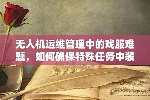 无人机运维管理中的戏服难题，如何确保特殊任务中装备的精准维护？