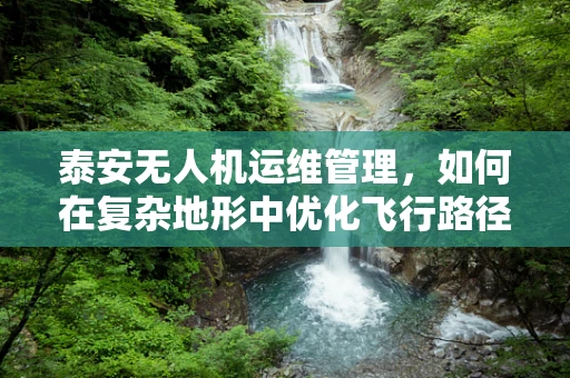 泰安无人机运维管理，如何在复杂地形中优化飞行路径？