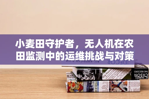 小麦田守护者，无人机在农田监测中的运维挑战与对策