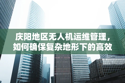 庆阳地区无人机运维管理，如何确保复杂地形下的高效与安全？