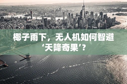 椰子雨下，无人机如何智避‘天降奇果’？