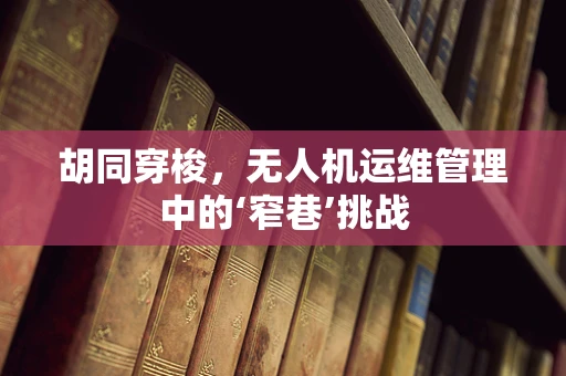 胡同穿梭，无人机运维管理中的‘窄巷’挑战