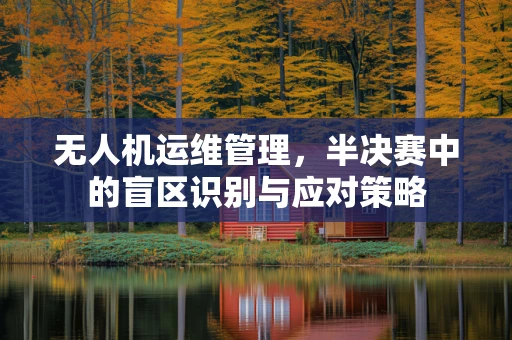 无人机运维管理，半决赛中的盲区识别与应对策略