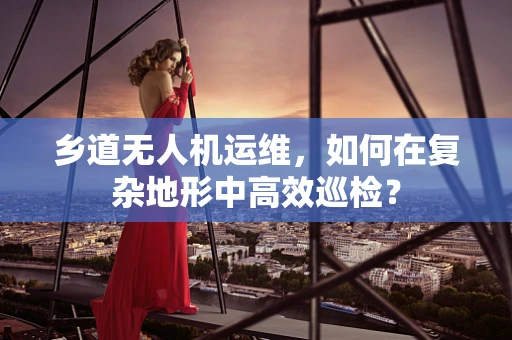 乡道无人机运维，如何在复杂地形中高效巡检？