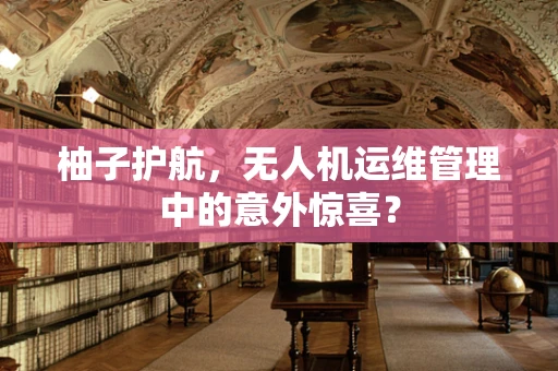 柚子护航，无人机运维管理中的意外惊喜？