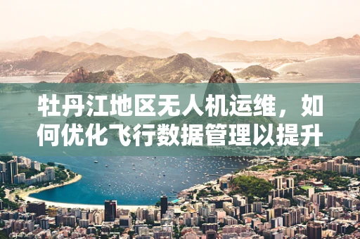 牡丹江地区无人机运维，如何优化飞行数据管理以提升监控效率？