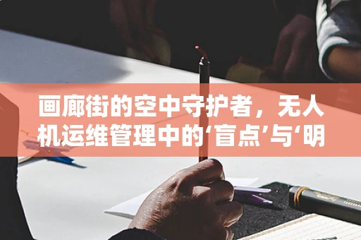 画廊街的空中守护者，无人机运维管理中的‘盲点’与‘明灯’