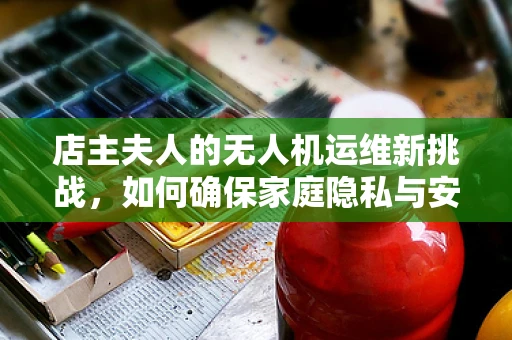 店主夫人的无人机运维新挑战，如何确保家庭隐私与安全并重？