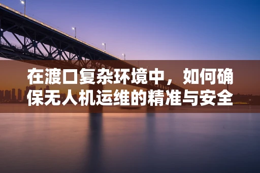 在渡口复杂环境中，如何确保无人机运维的精准与安全？