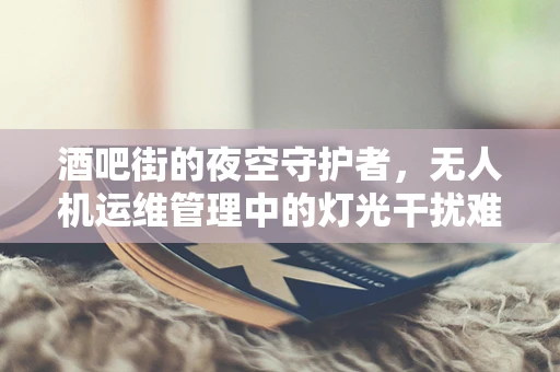 酒吧街的夜空守护者，无人机运维管理中的灯光干扰难题如何破解？