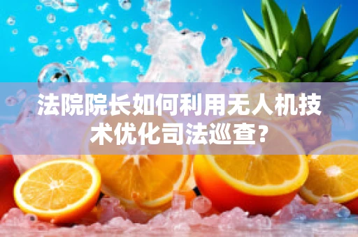 法院院长如何利用无人机技术优化司法巡查？