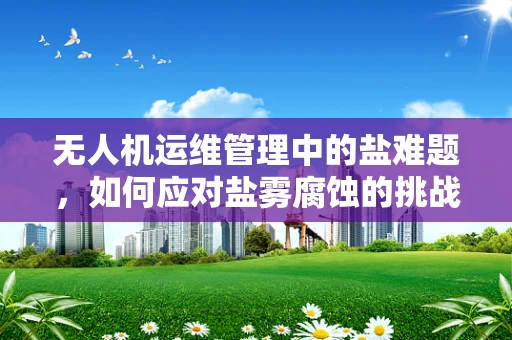 无人机运维管理中的盐难题，如何应对盐雾腐蚀的挑战？