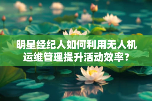 明星经纪人如何利用无人机运维管理提升活动效率？