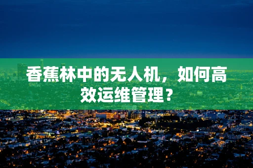 香蕉林中的无人机，如何高效运维管理？