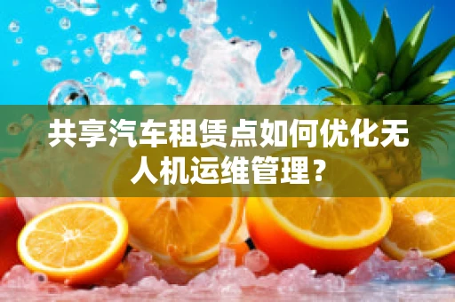 共享汽车租赁点如何优化无人机运维管理？