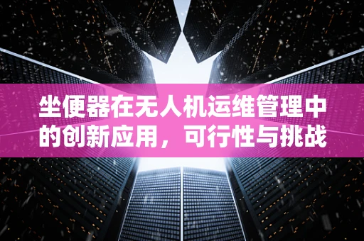 坐便器在无人机运维管理中的创新应用，可行性与挑战？