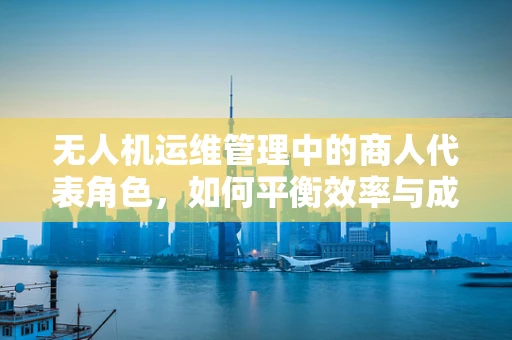 无人机运维管理中的商人代表角色，如何平衡效率与成本控制？