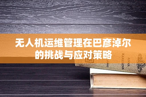 无人机运维管理在巴彦淖尔的挑战与应对策略