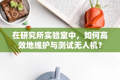 在研究所实验室中，如何高效地维护与测试无人机？