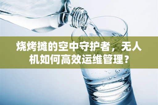 烧烤摊的空中守护者，无人机如何高效运维管理？