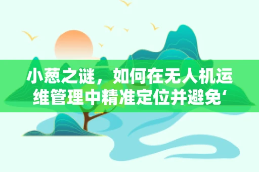 小葱之谜，如何在无人机运维管理中精准定位并避免‘葱’扰？