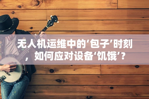 无人机运维中的‘包子’时刻，如何应对设备‘饥饿’？