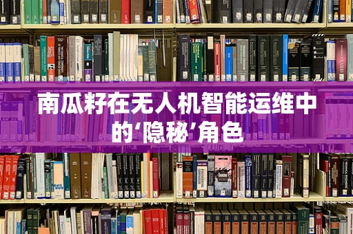南瓜籽在无人机智能运维中的‘隐秘’角色