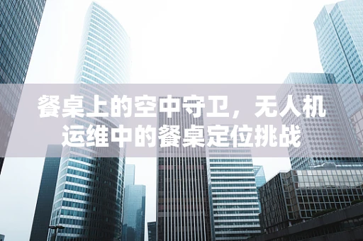 餐桌上的空中守卫，无人机运维中的餐桌定位挑战