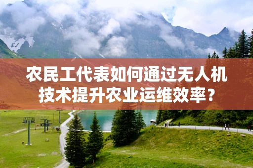 农民工代表如何通过无人机技术提升农业运维效率？