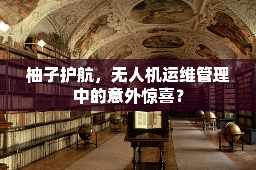 柚子护航，无人机运维管理中的意外惊喜？