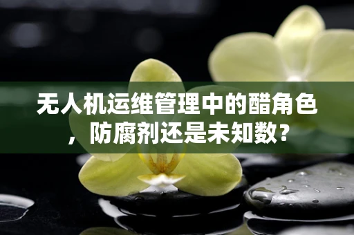 无人机运维管理中的醋角色，防腐剂还是未知数？