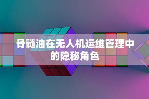 骨髓油在无人机运维管理中的隐秘角色