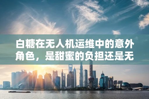 白糖在无人机运维中的意外角色，是甜蜜的负担还是无解之谜？