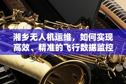 湘乡无人机运维，如何实现高效、精准的飞行数据监控？