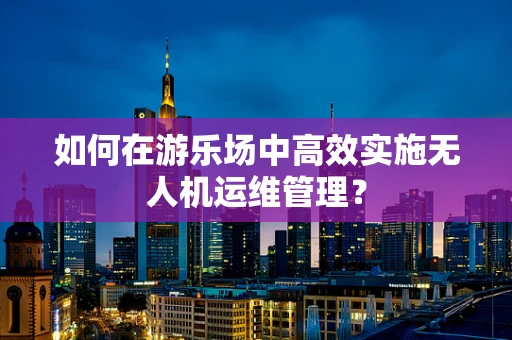 如何在游乐场中高效实施无人机运维管理？