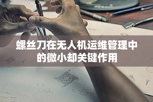 螺丝刀在无人机运维管理中的微小却关键作用