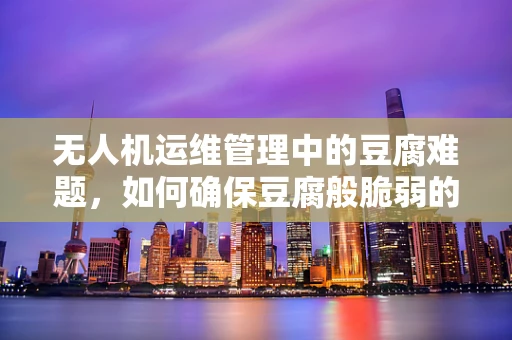 无人机运维管理中的豆腐难题，如何确保豆腐般脆弱的设备在复杂环境中的安全？