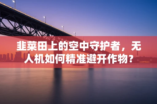 韭菜田上的空中守护者，无人机如何精准避开作物？